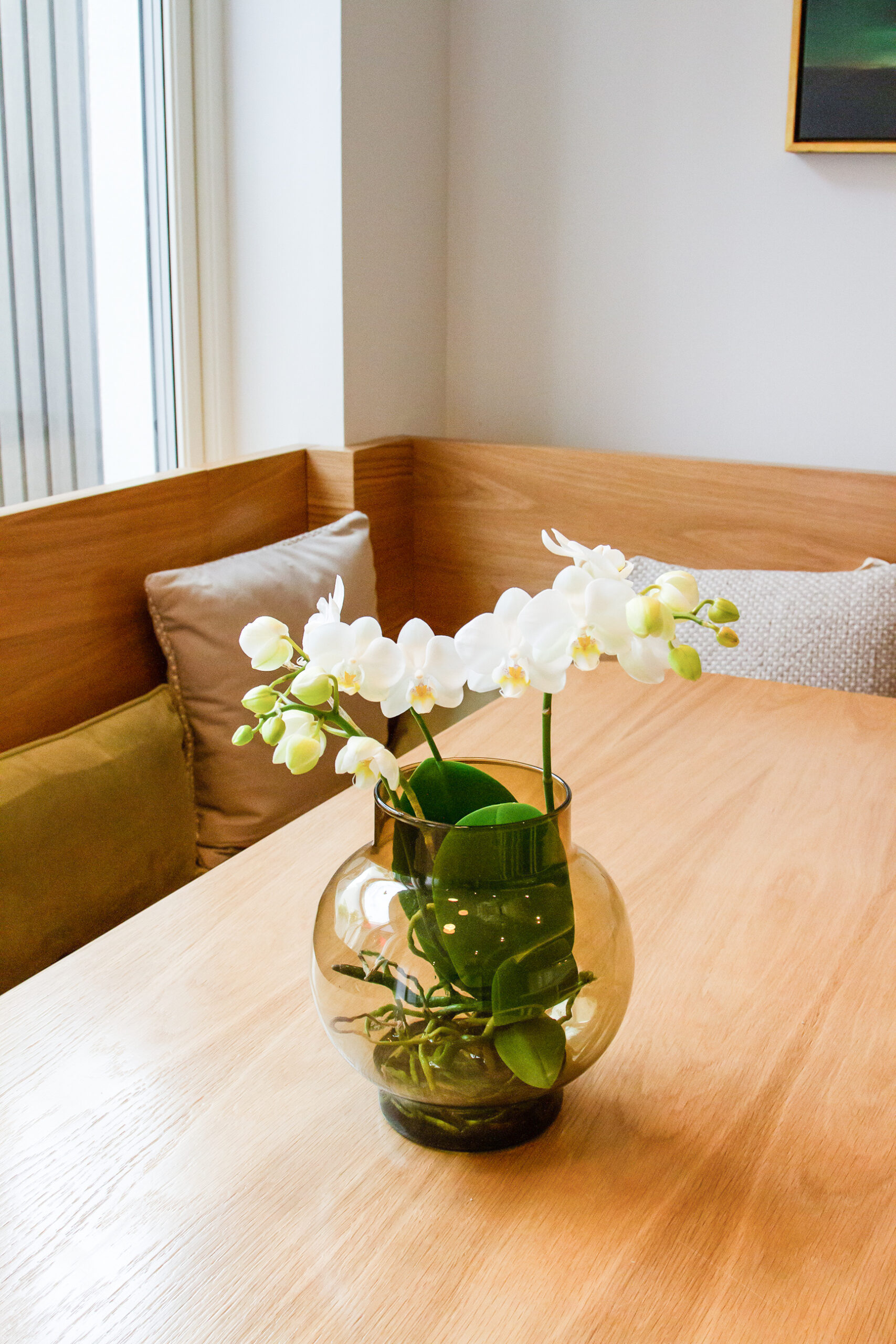 House Renovations Dublin I House And Home Renovations Specialists Dublin I Forja Works